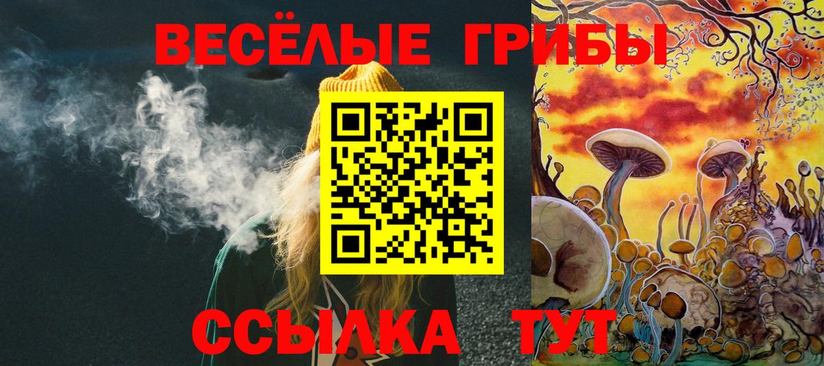 Казань  Псилоцибиновые грибы мицелий  где купить наркотик  Вход с VPN  Галлюциногенные грибы мицелий 